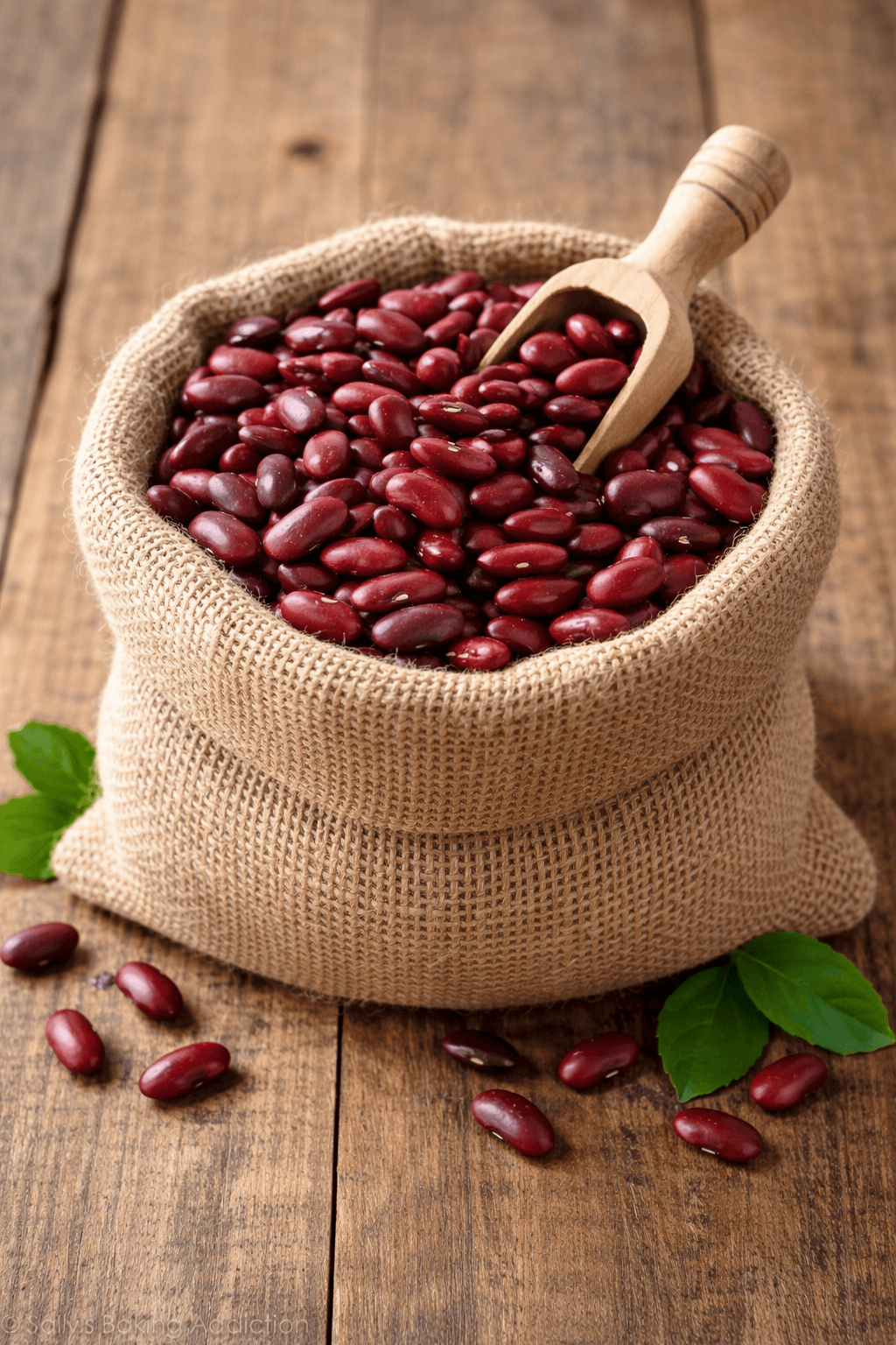 Beans